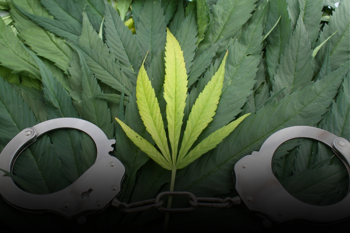 What Are the Penalties for Marijuana Possession in MN?