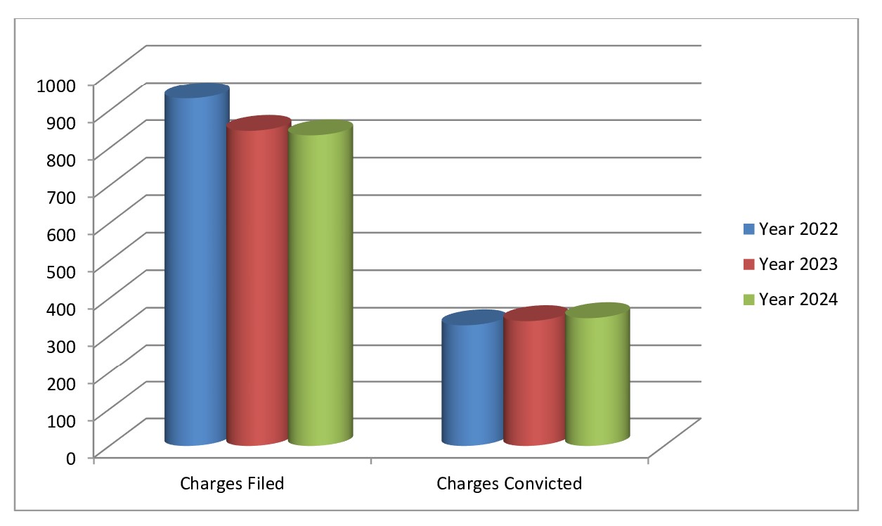 Assault Charges without Physical Injury and convictions