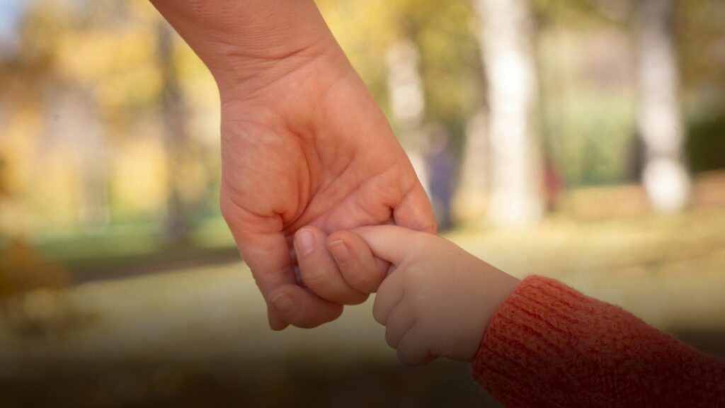 Minnesota custody evaluation